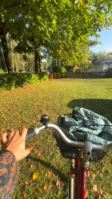 ✨Ilus mõte ja soovitus meie healt koostööpartnerilt @peaasi.ee 😇. Ja tõesti, mis saakski juhtuda, kui sead täna prioriteediks oma vaimse tervise?
👉Rohkem Peaasi.ee igapäevaseid nippe ja soovitusi oma vaimse tervise hoidmiseks leiad Motik vihikutest, mis on aastaringselt müügil @charlot_eesti kauplustes.
📚Kusjuures Peaasi häid mõtteid võid kohata ka mitme meie @valemivihik motivatsiooninurgas.
⭐️Hea pea algab tasakaalust peast, niiet kõigi muude tarkuste kõrval peab jaguma ikka tarkust ka iseenda hoidmiseks.☺️
💫💫💫
✨ A lovely reminder from our long-time partner @peaasi.ee : what could happen if you made your mental health a priority today? 💛
👉 You can find more practical tips from Peaasi.ee for taking care of your mental wellbeing inside our Motik! notebooks. And in the motivation sections of several @valemivihik notebooks too. 📚
⭐️ A good mind starts with a balanced mind. Alongside everything else we learn, knowing how to take care of ourselves might be one of the most important lessons. ☺️